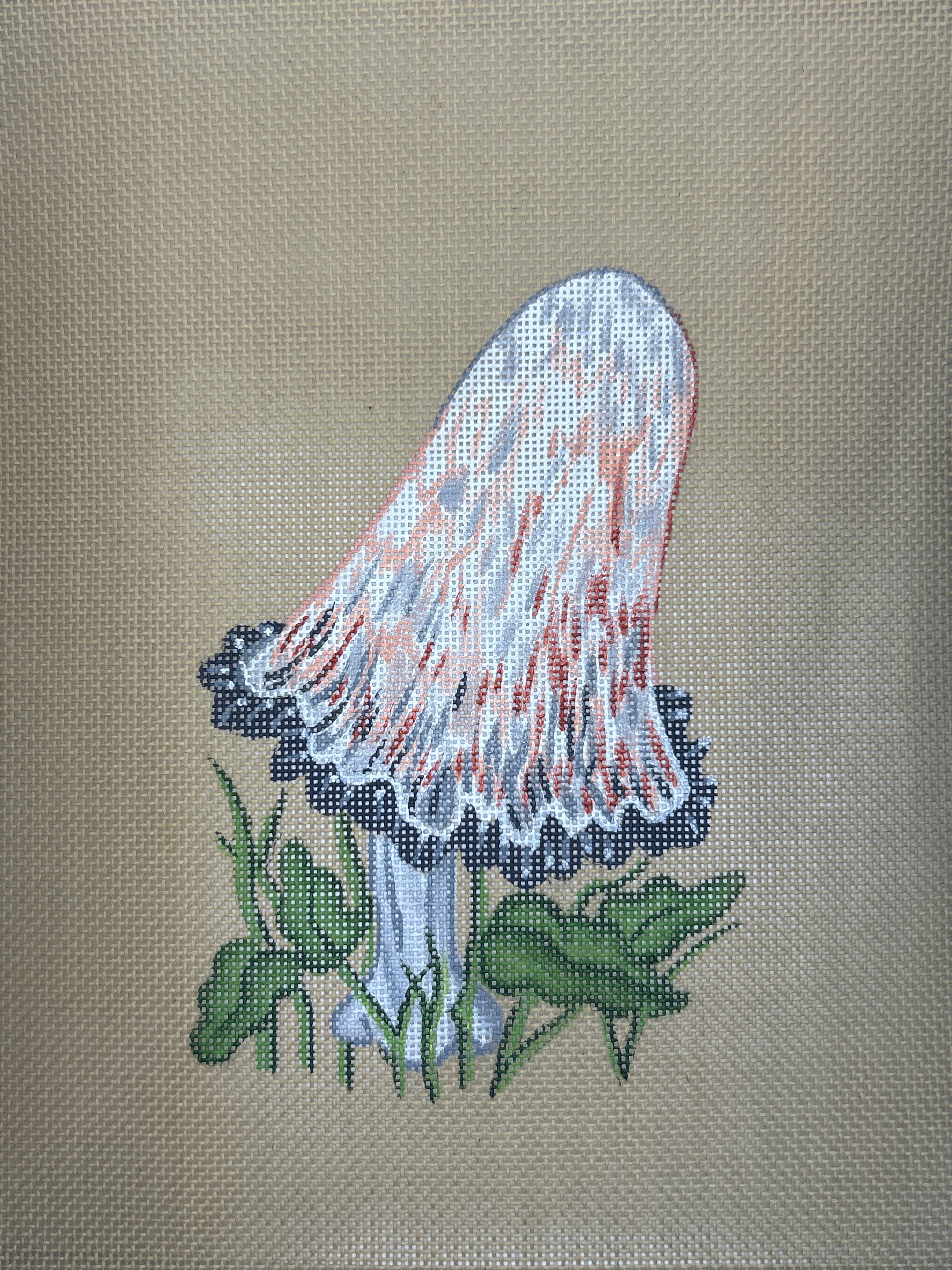Mushrooms II R-384