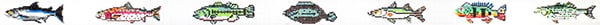 Fresh Water Fish TMC-139t