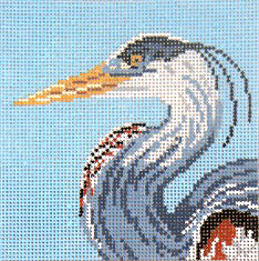 Great Blue Heron Head #1601-4