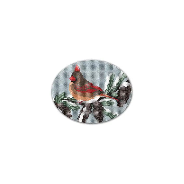 Cardinal - Female LRE-XO 14