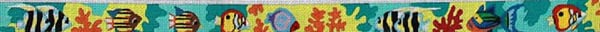 Ocean Reef tropical fish belt TMC-242b