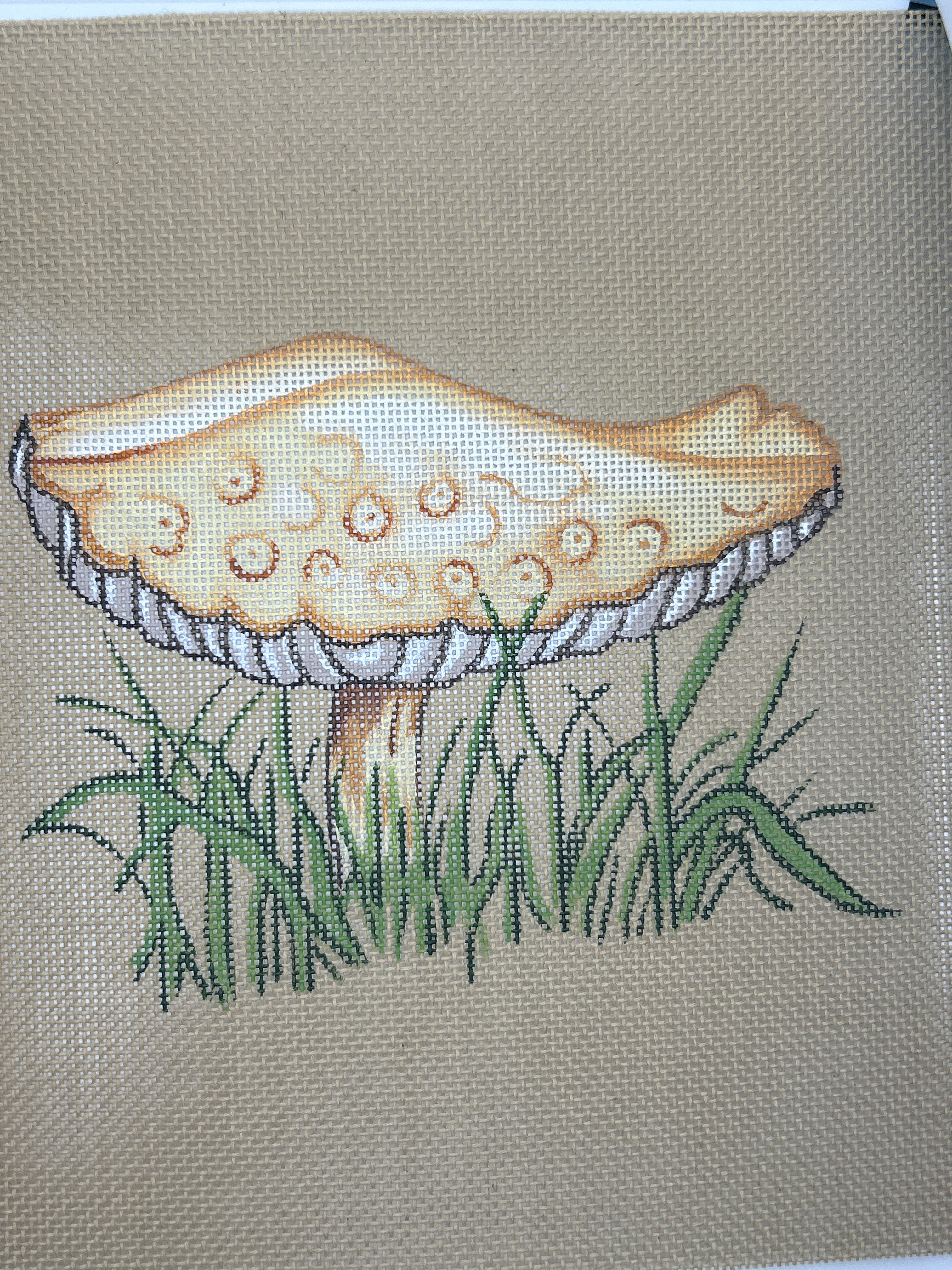 Mushrooms I R-383