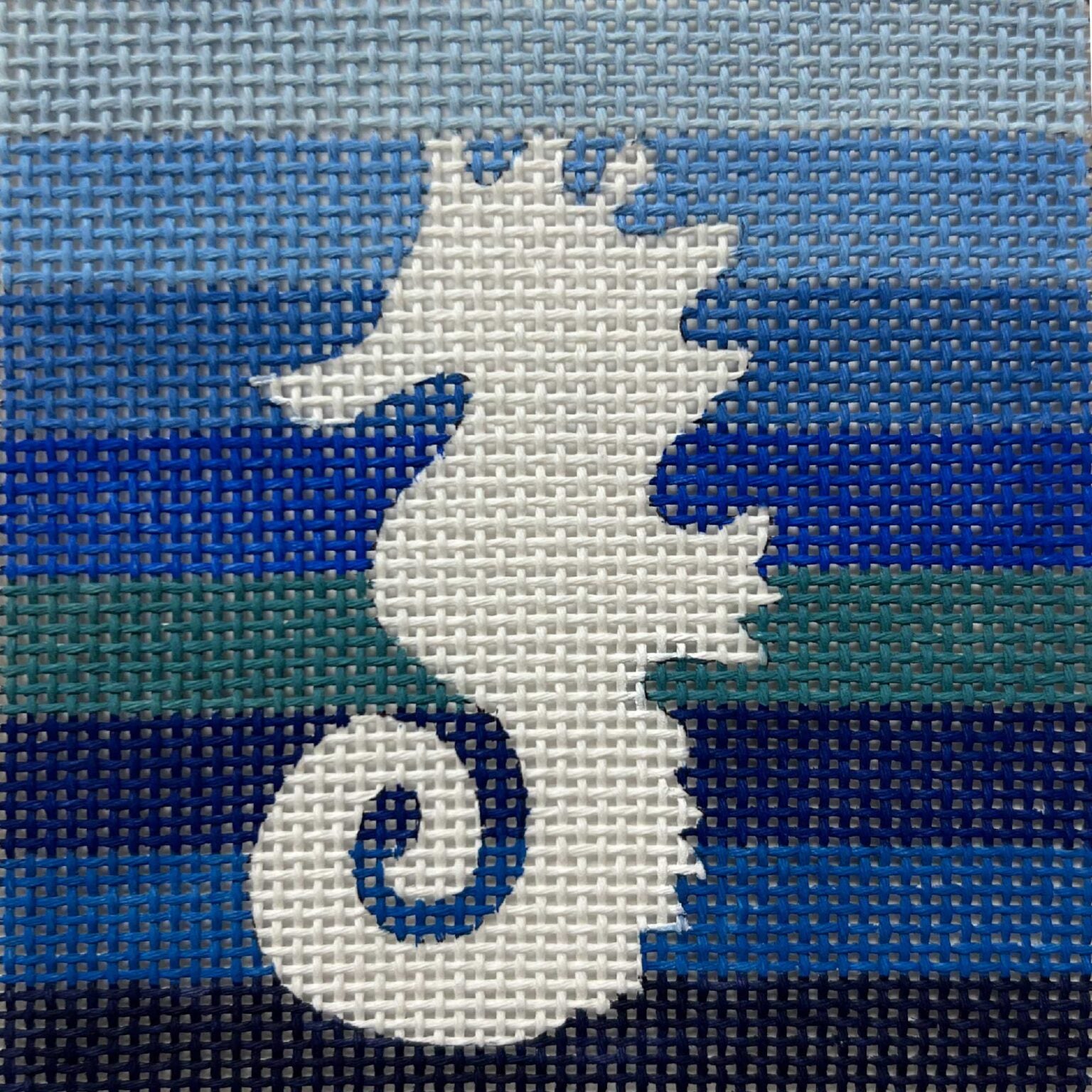 Seahorse AP4474