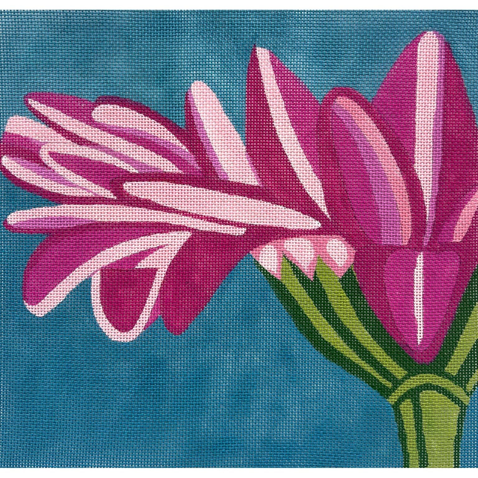 Pink Gerber Daisy AP4596