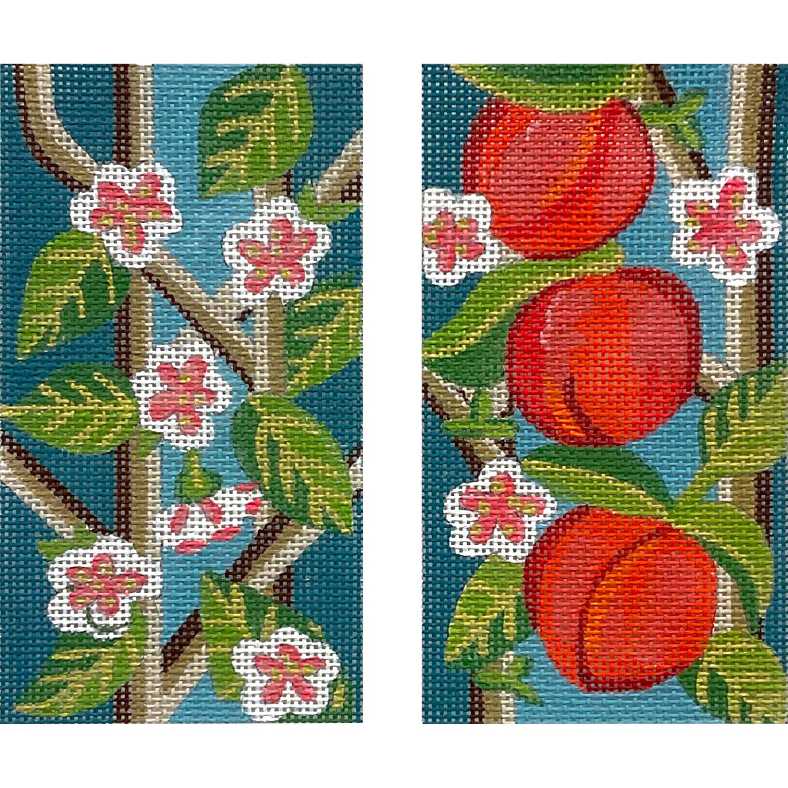 Peach Eyeglass AP4814