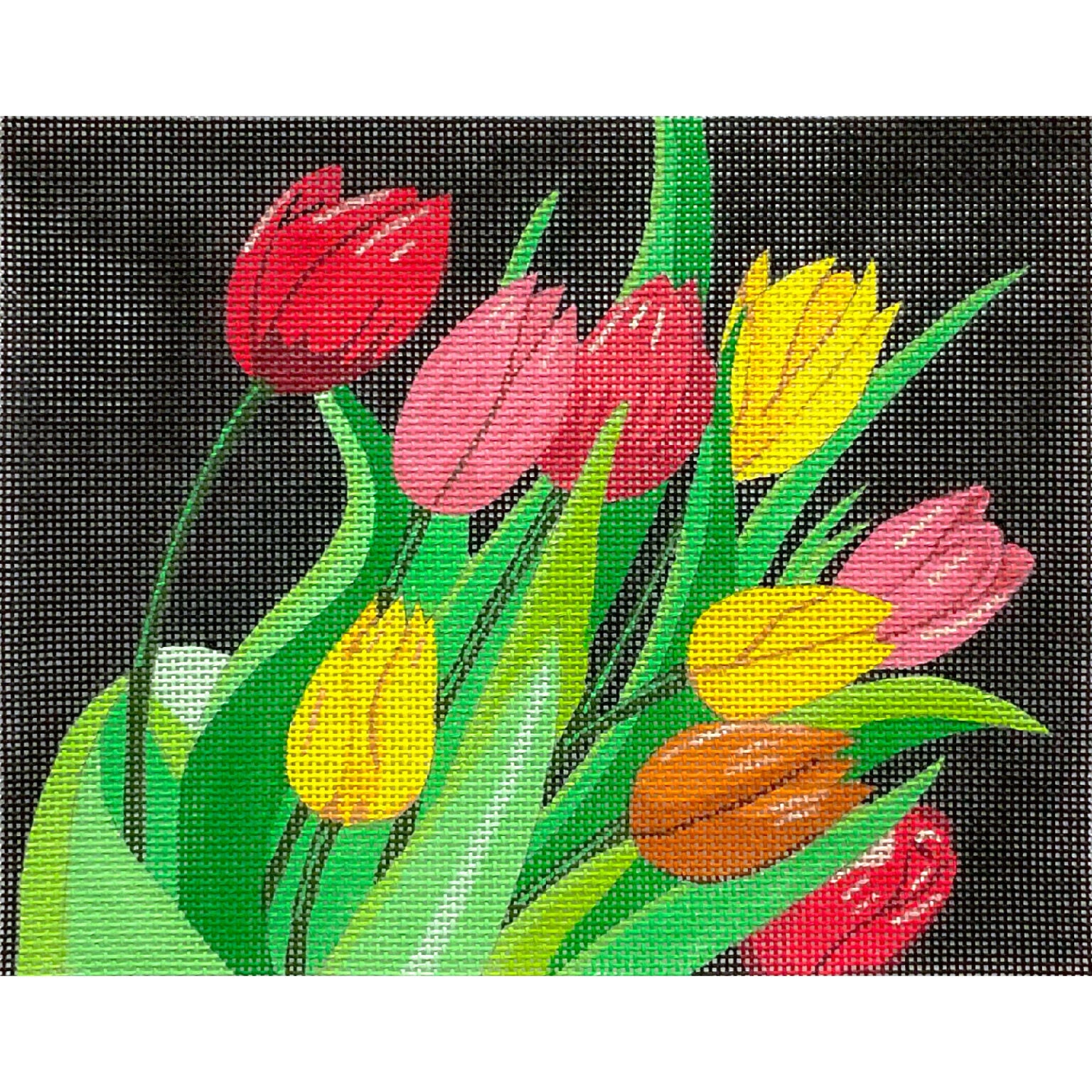 Tulips on Black AP4830