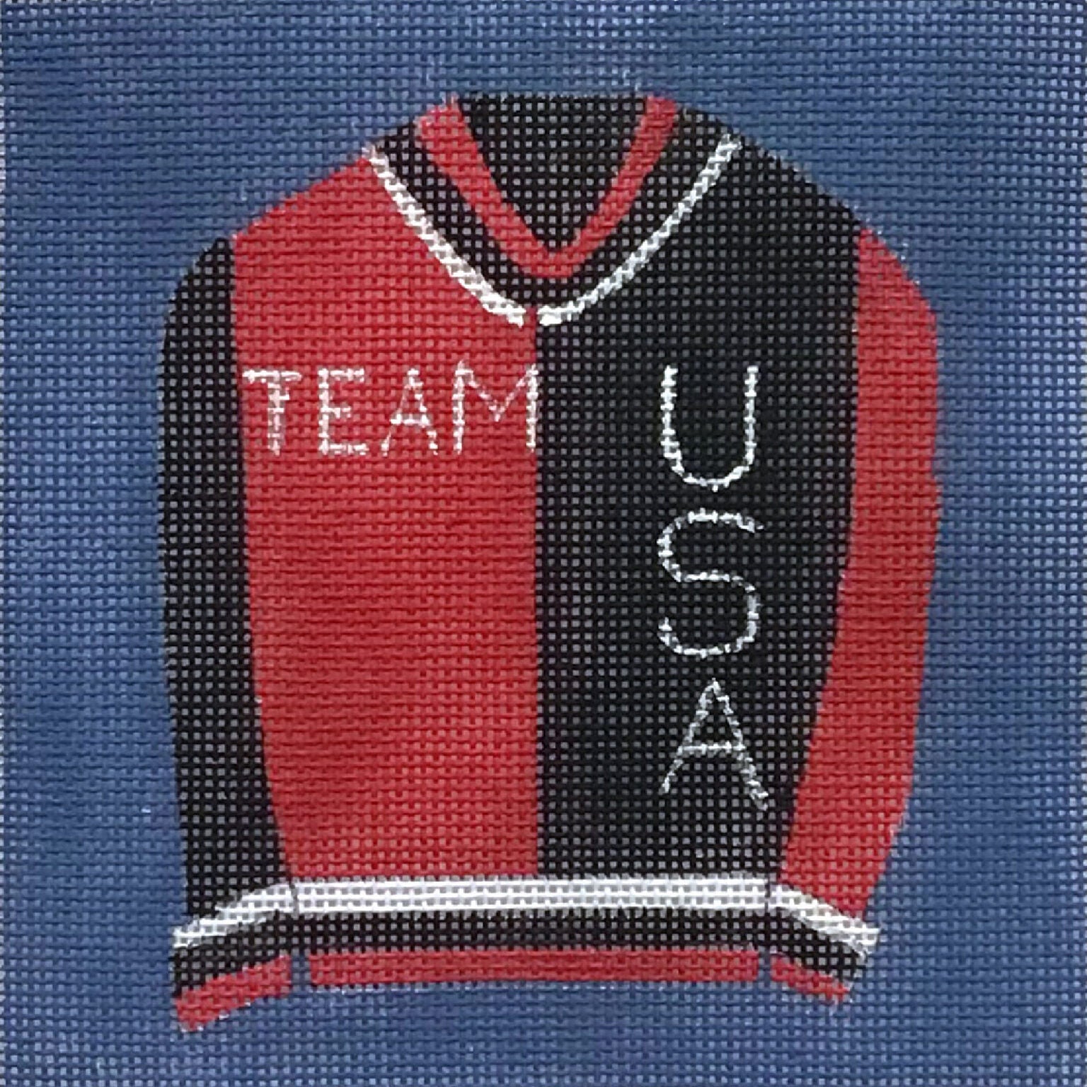 Team USA Jacket AP4903