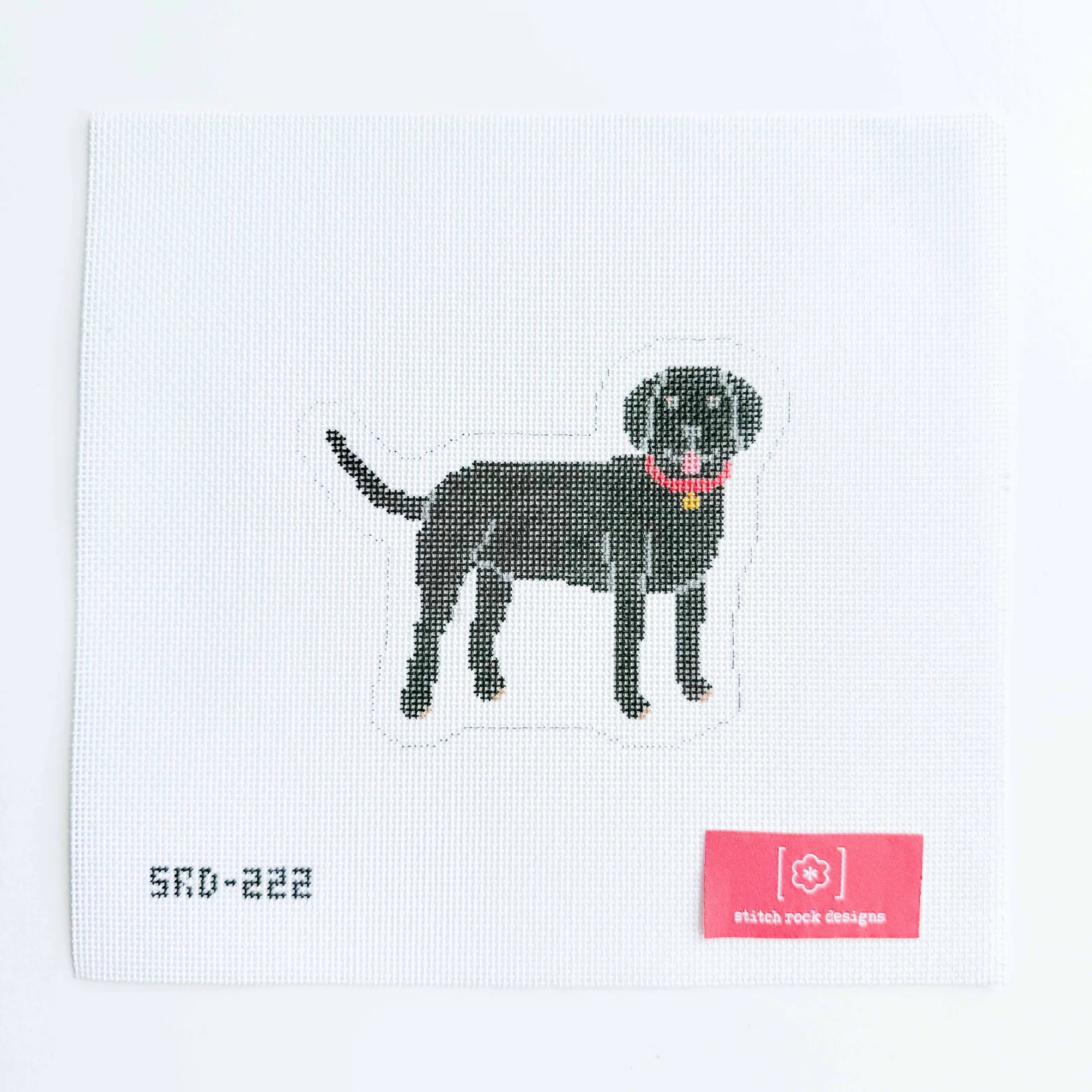 Black Labrador SRD-222