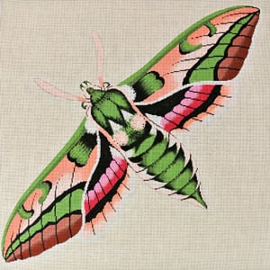 Moth green/pink/peach C-511d