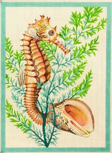 Seahorse & Shells Aqua C-530a