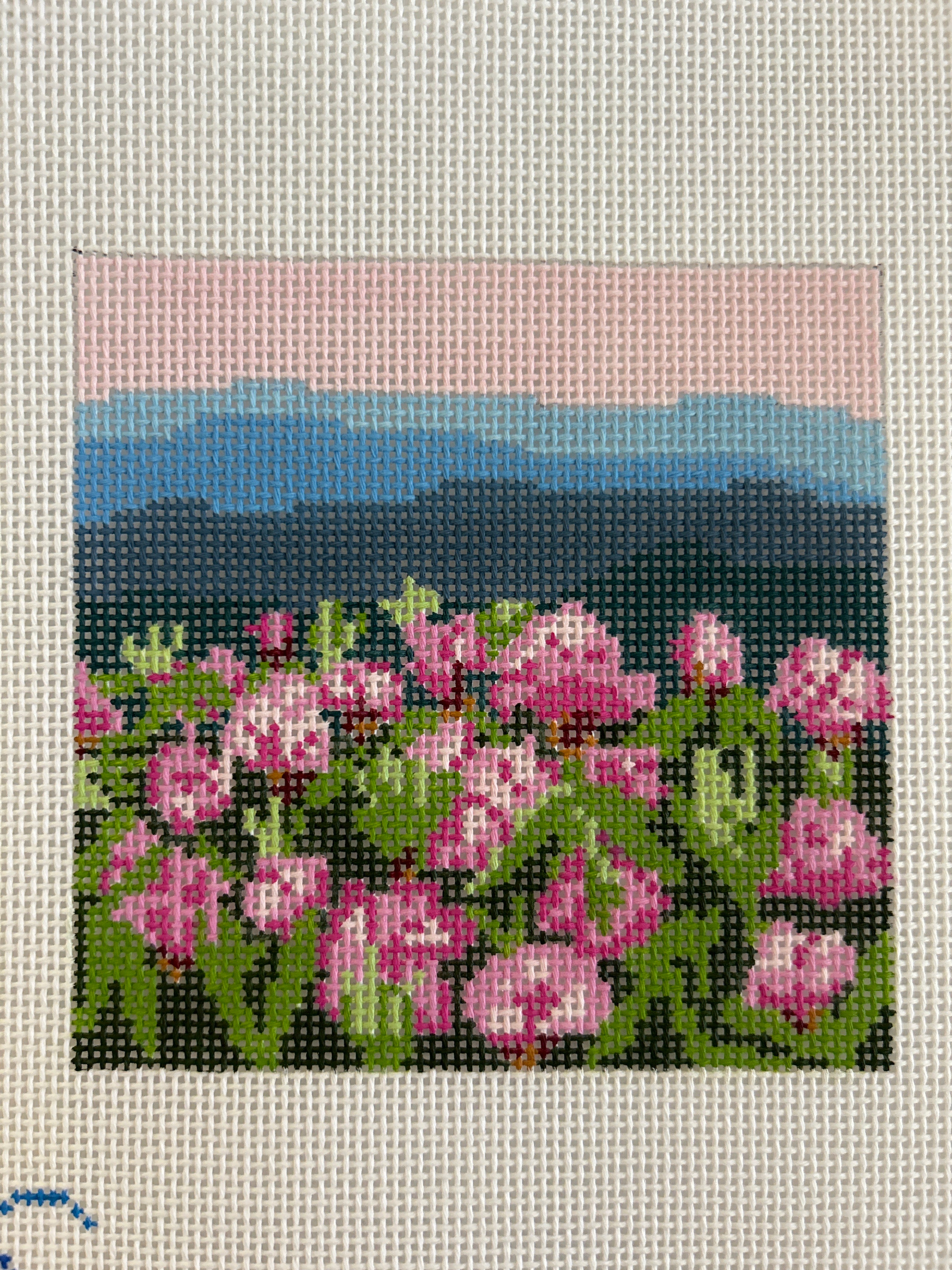 Rhododendron on the Mtn. T4A