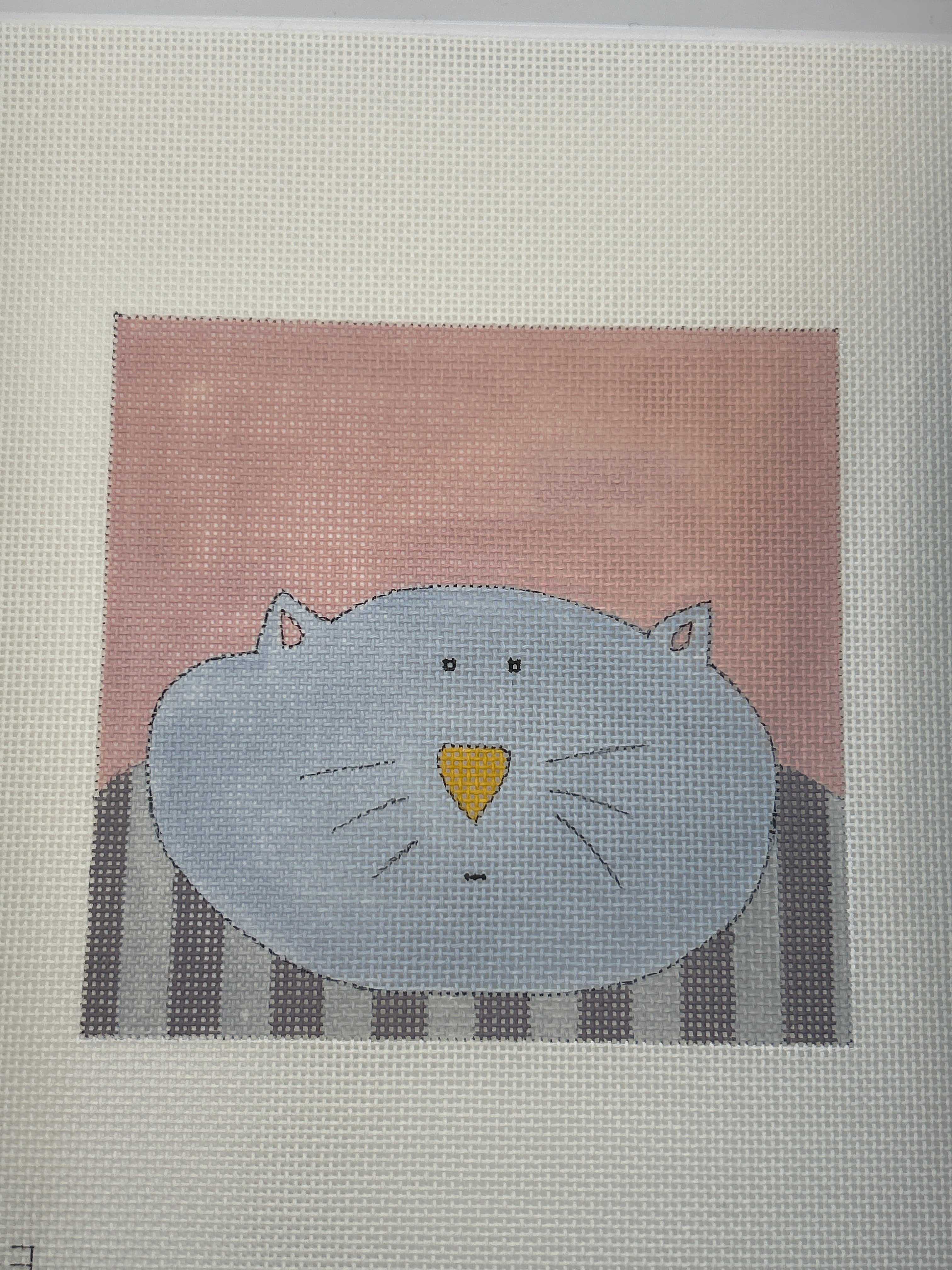 Baby Cat EWE-1123
