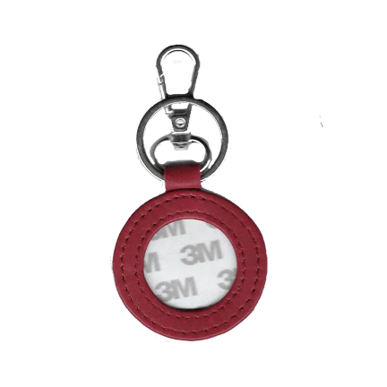 Planet Earth Key Fobs