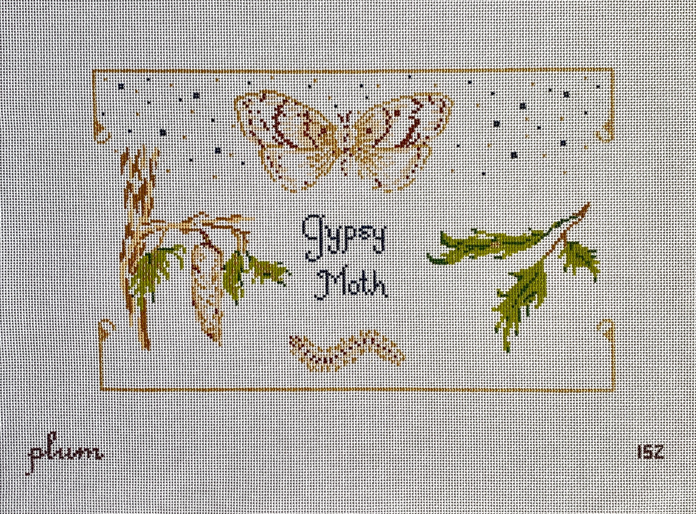 Gypsy Moth 15Z