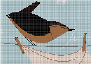 House Wren on Clothesline	 HC-H285