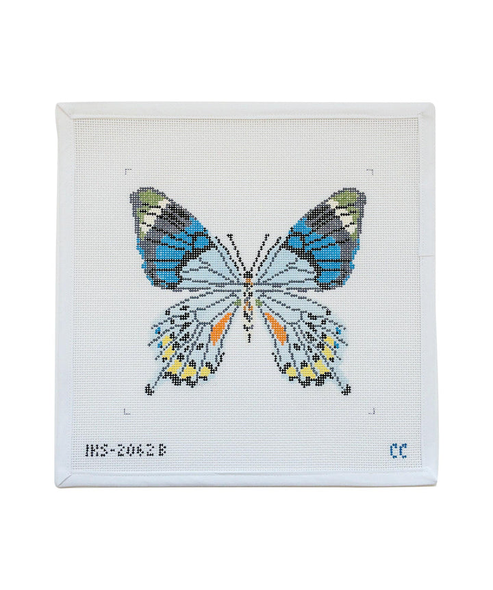 Blue Gray Butterfly LG IKS 2062B