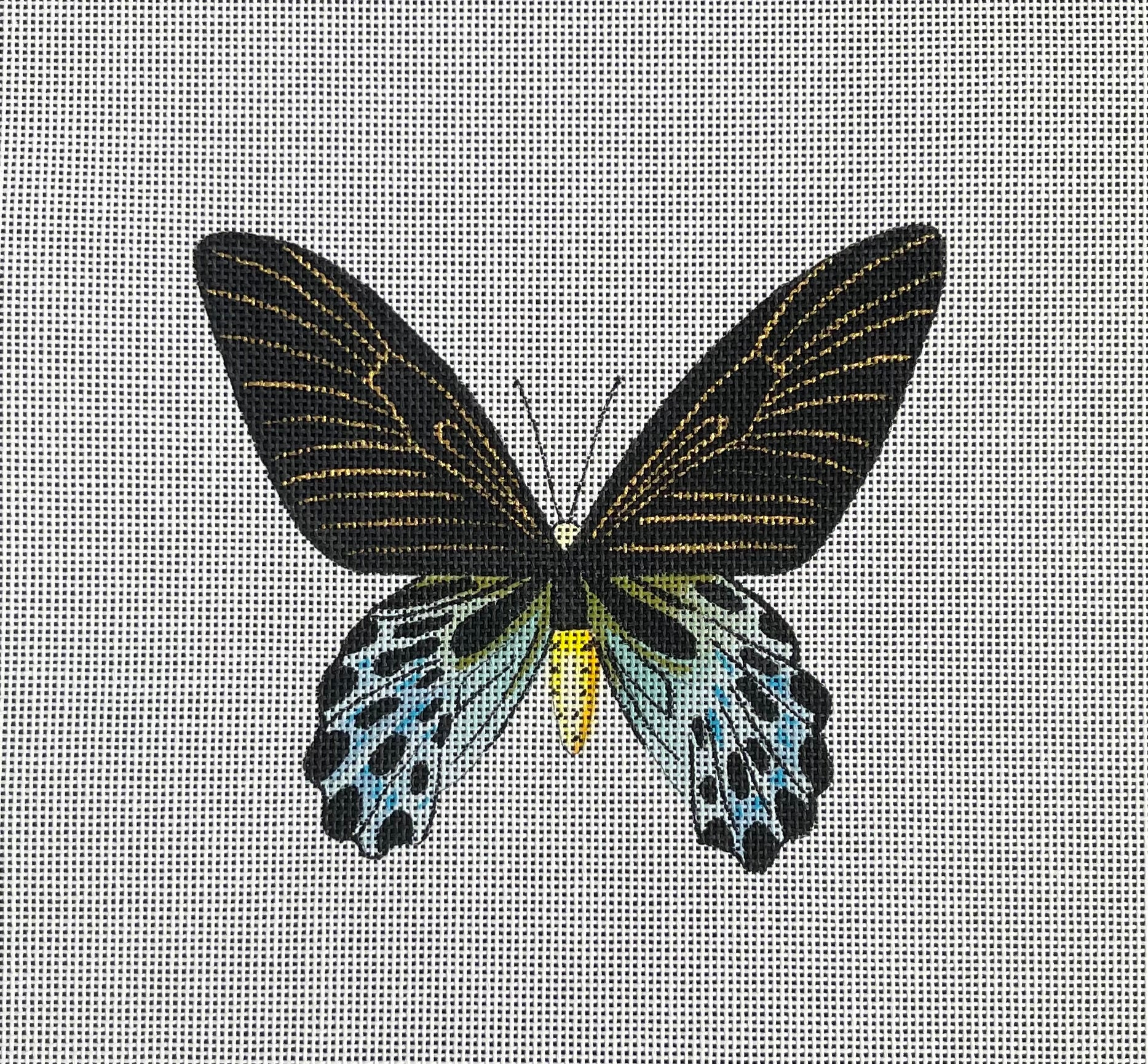 Butterfly COP - AN446