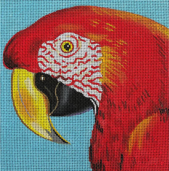 Red parrot COP - AN323