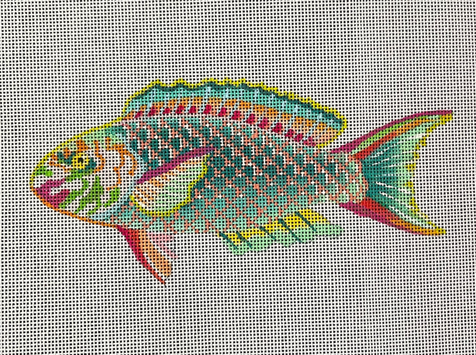 Colorful Fish AN529