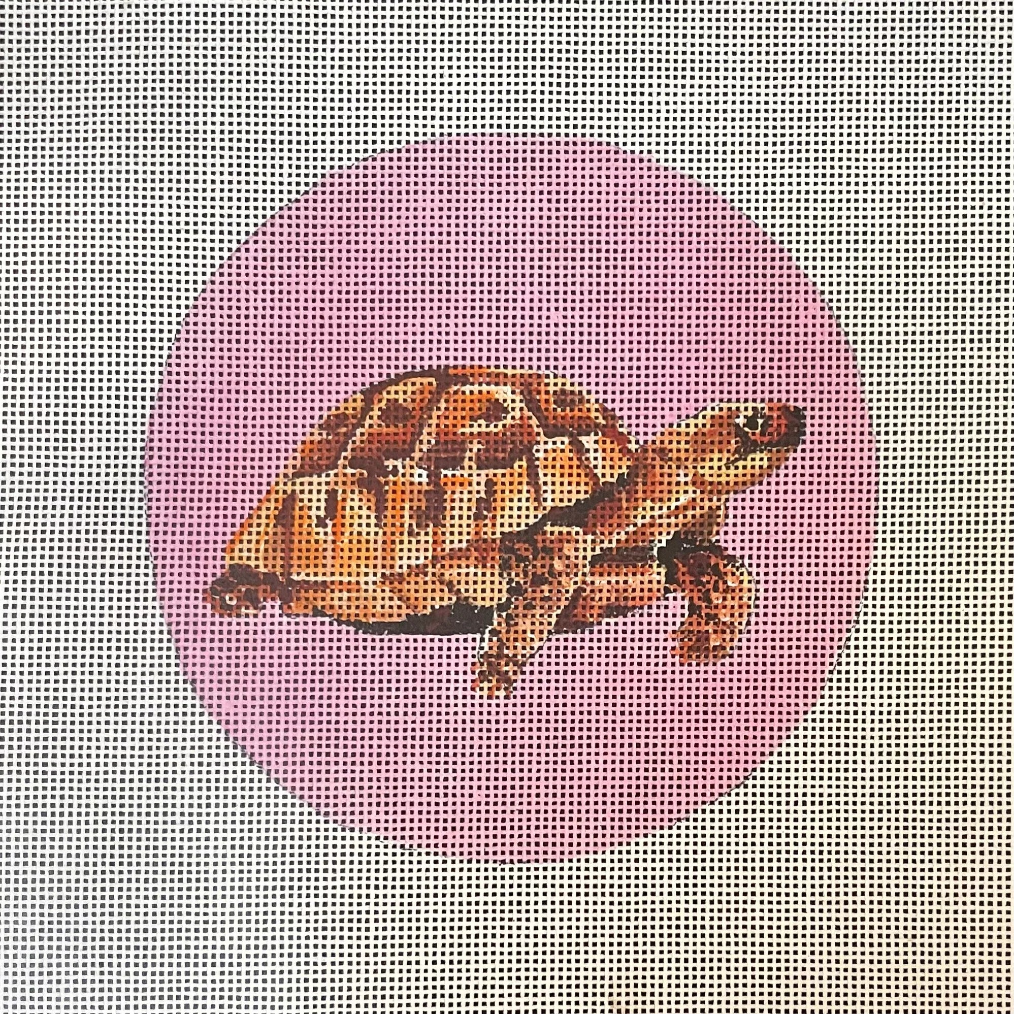 Turtle on Pink Round IN816