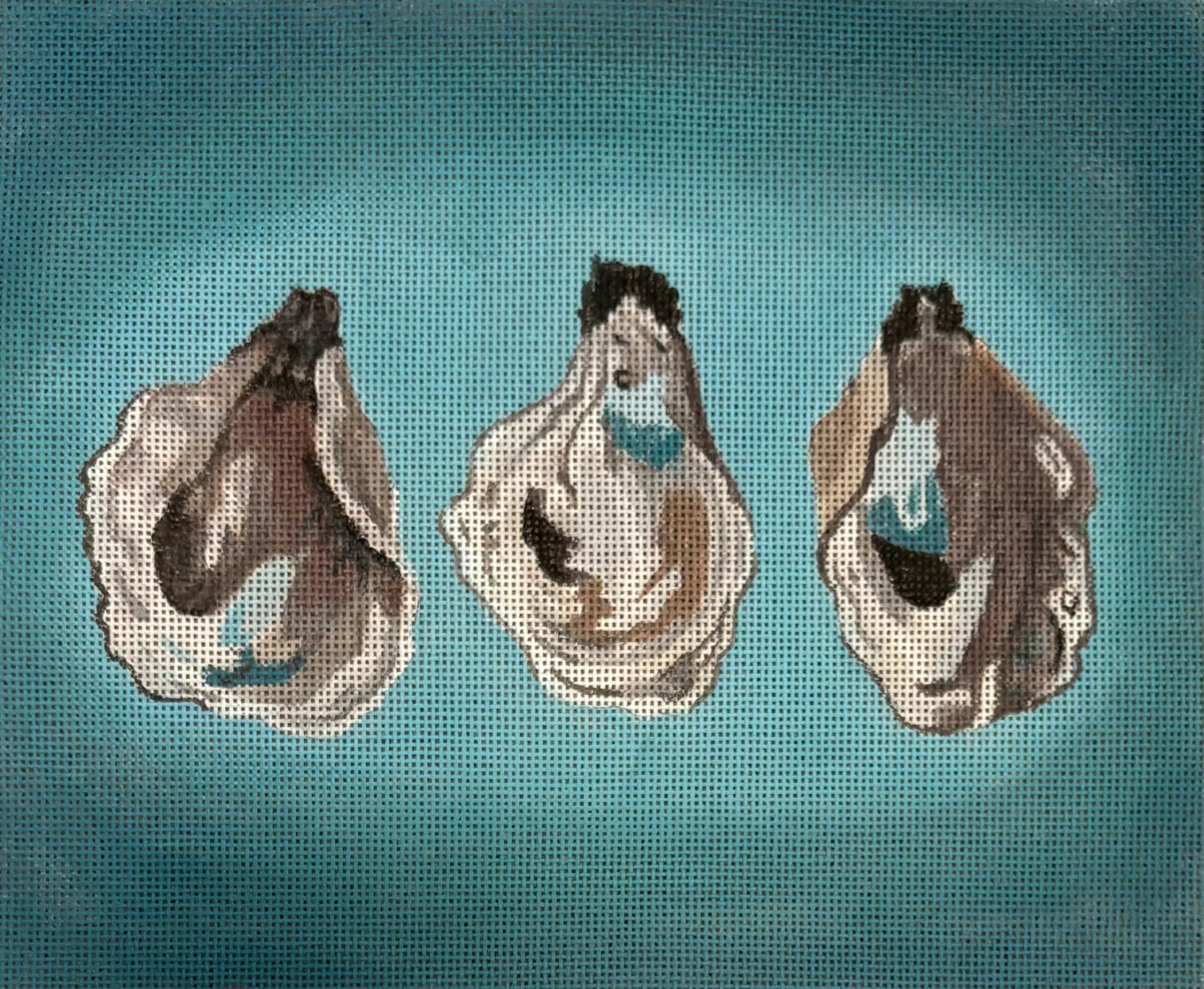 Three Oyster Shells GIA13