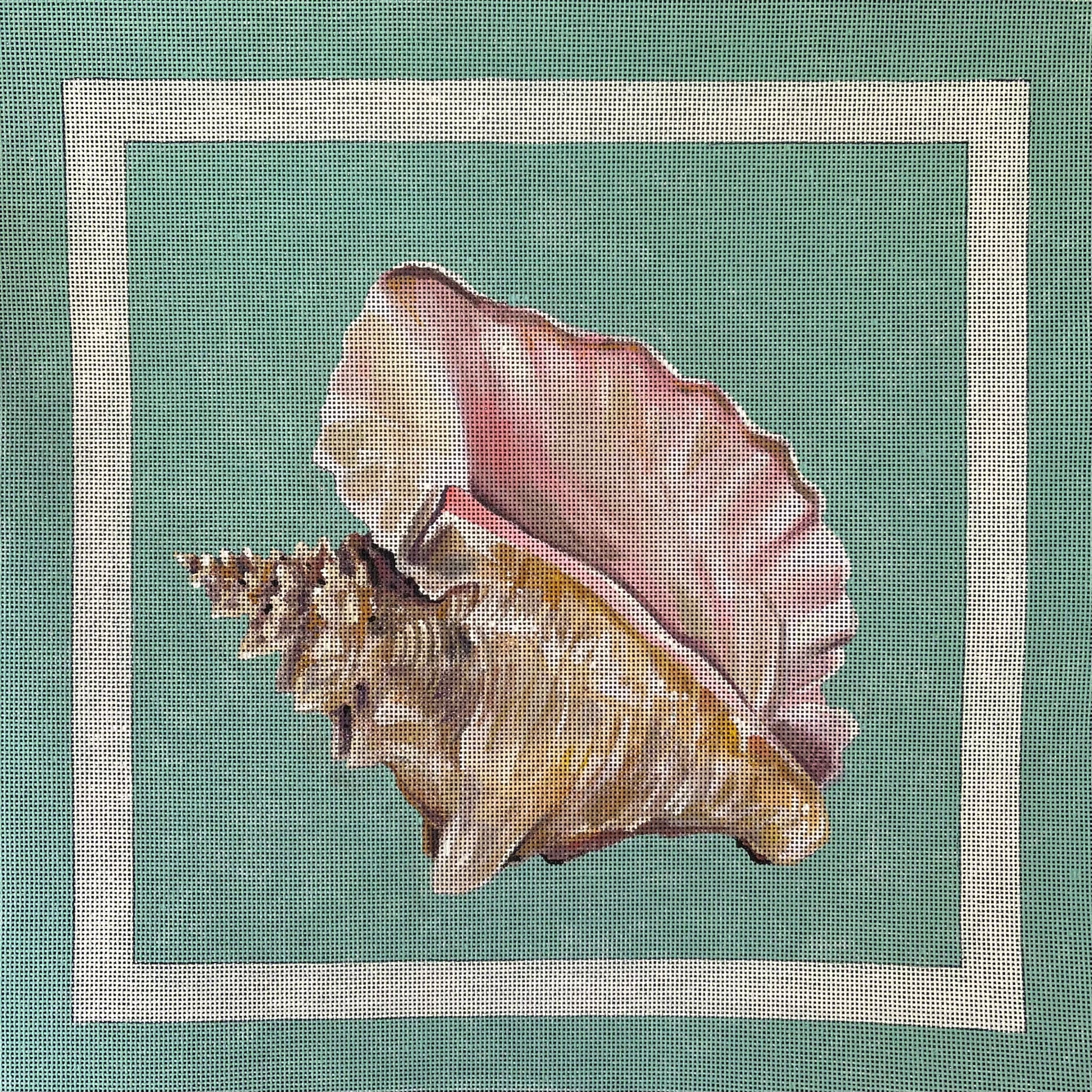Conch Shell MC709