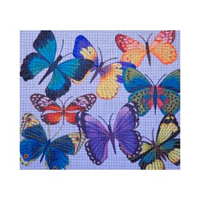 Butterfly Heaven JP-B 010