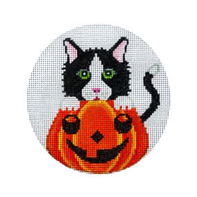 Tuxedo Cat in Pumpkin JP-H 253