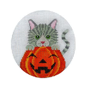 Silver Tabby in Pumpkin JP-H 254