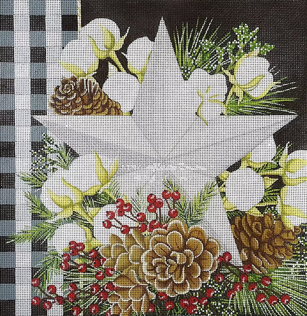Gingham Bolls Star NT-PL01 DEPOSIT ONLY CLASS 2027 November