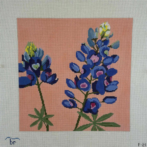 Bluebonnet (lupine) P21