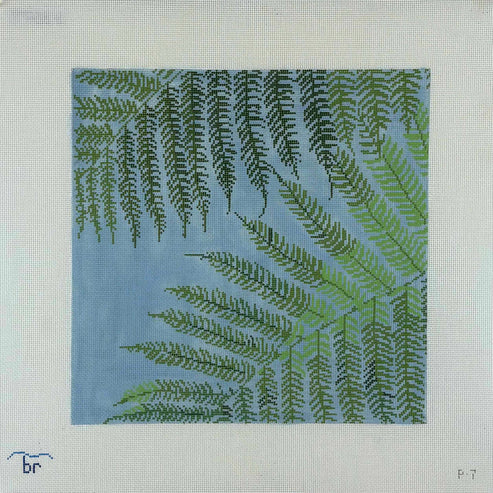 Sunlit Fern P7