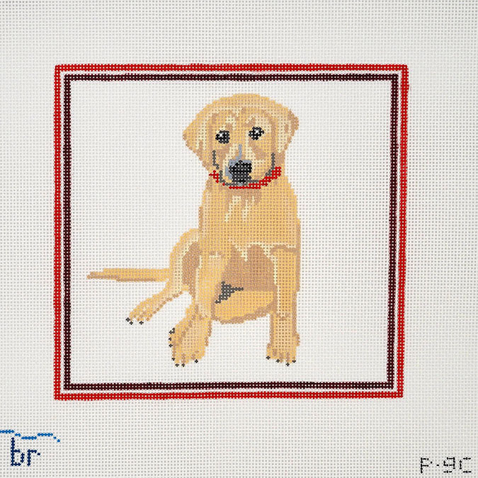 Yellow Lab w/ Red Frame P9C