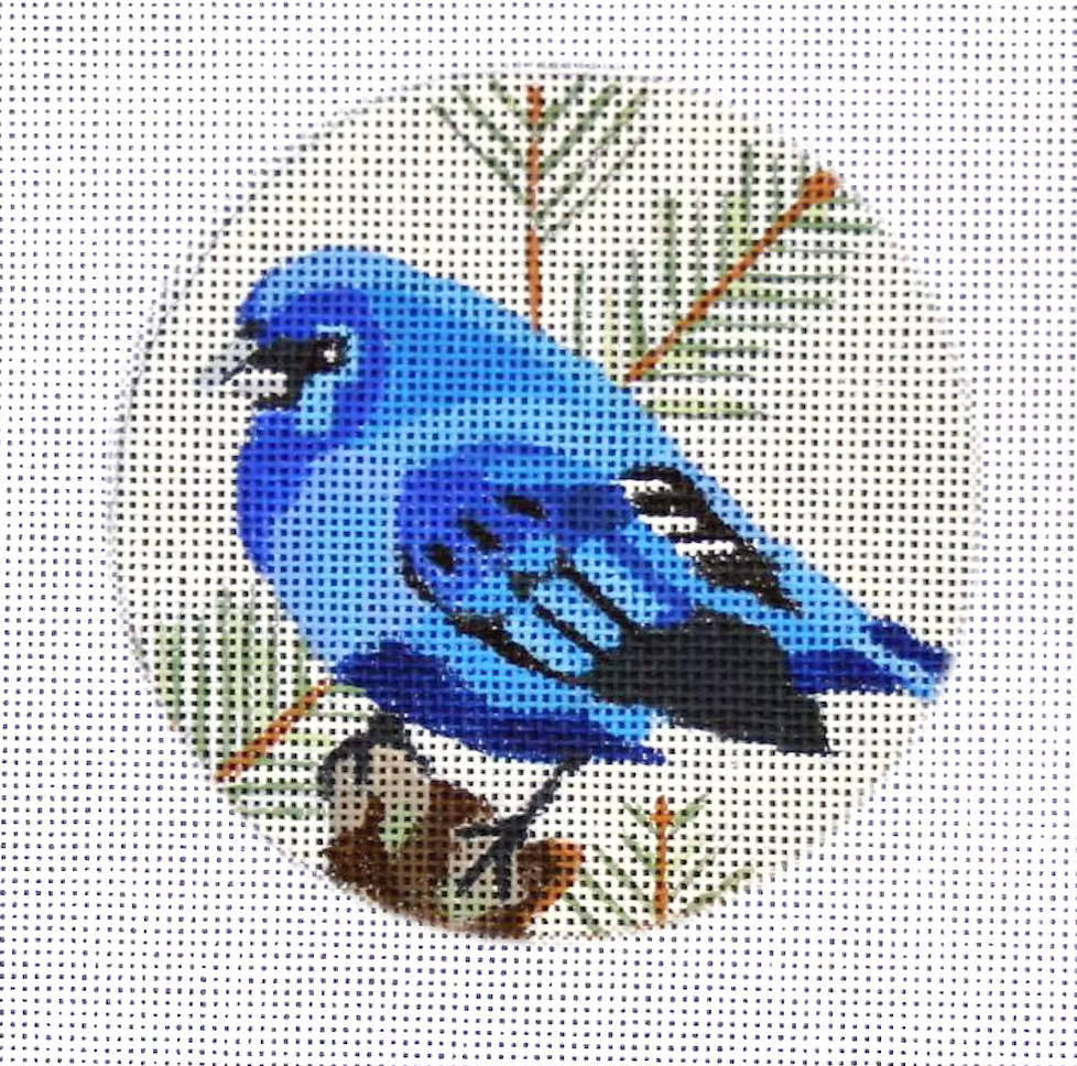 Blue Bunting B358