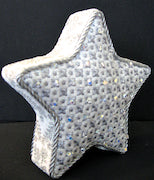 W-Mara's Big Star Silver Wg12355