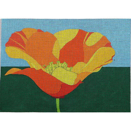 California Poppy by Zecca