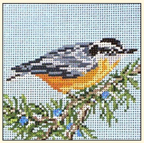 Red Breasted Nuthatch NC1863