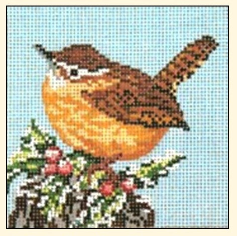 Carolina Wren NC1760