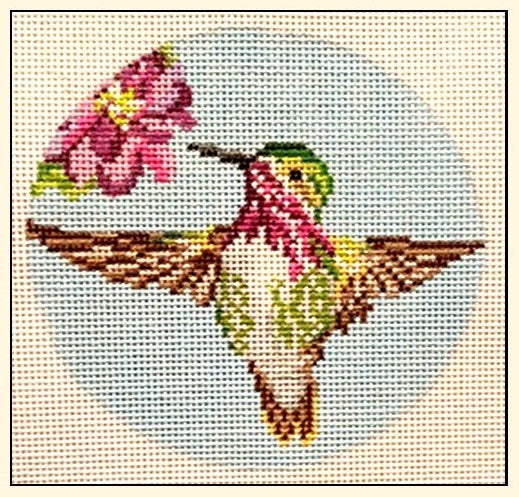 Calliope Hummer NC1881