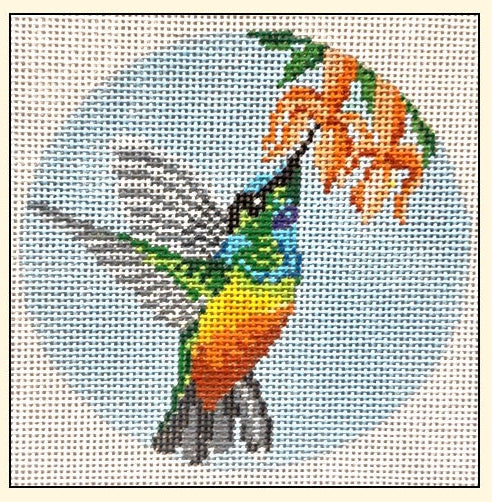 Golden Bellied Starfrontlet Hummingbird NC1877