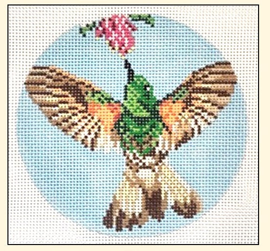 Buff Tailed Coronet Hummingbird NC1878