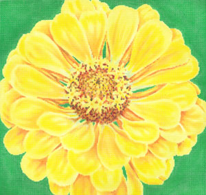 Canary Zinnia/ Green Background C-594c