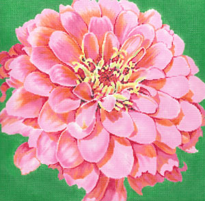 Cosmopolitan Zinnia/ Green Bkgd C-594d