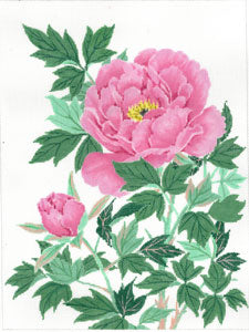 Pink Peony C-610