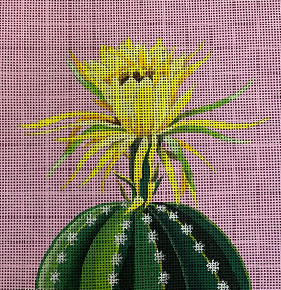 Blooming cactus on pink  COP - FF328
