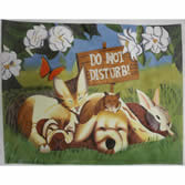 Sleepy Heads EWE-684