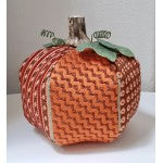 Raymond's Pumpkin 13m WG11928-13