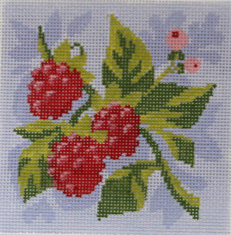 Fruit Square: Raspberries PLD-AC-085