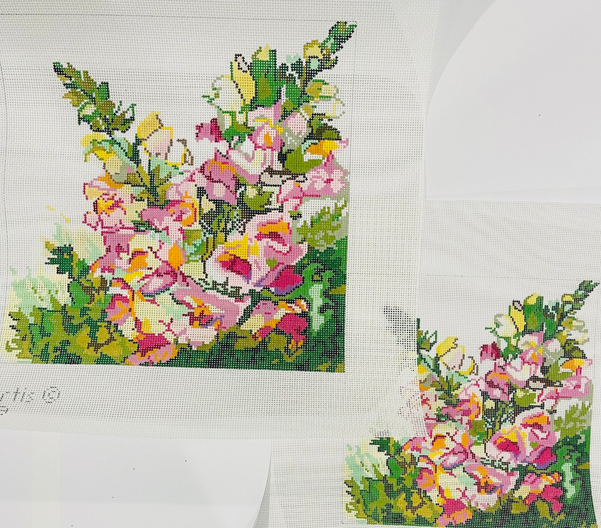 Snapdragons