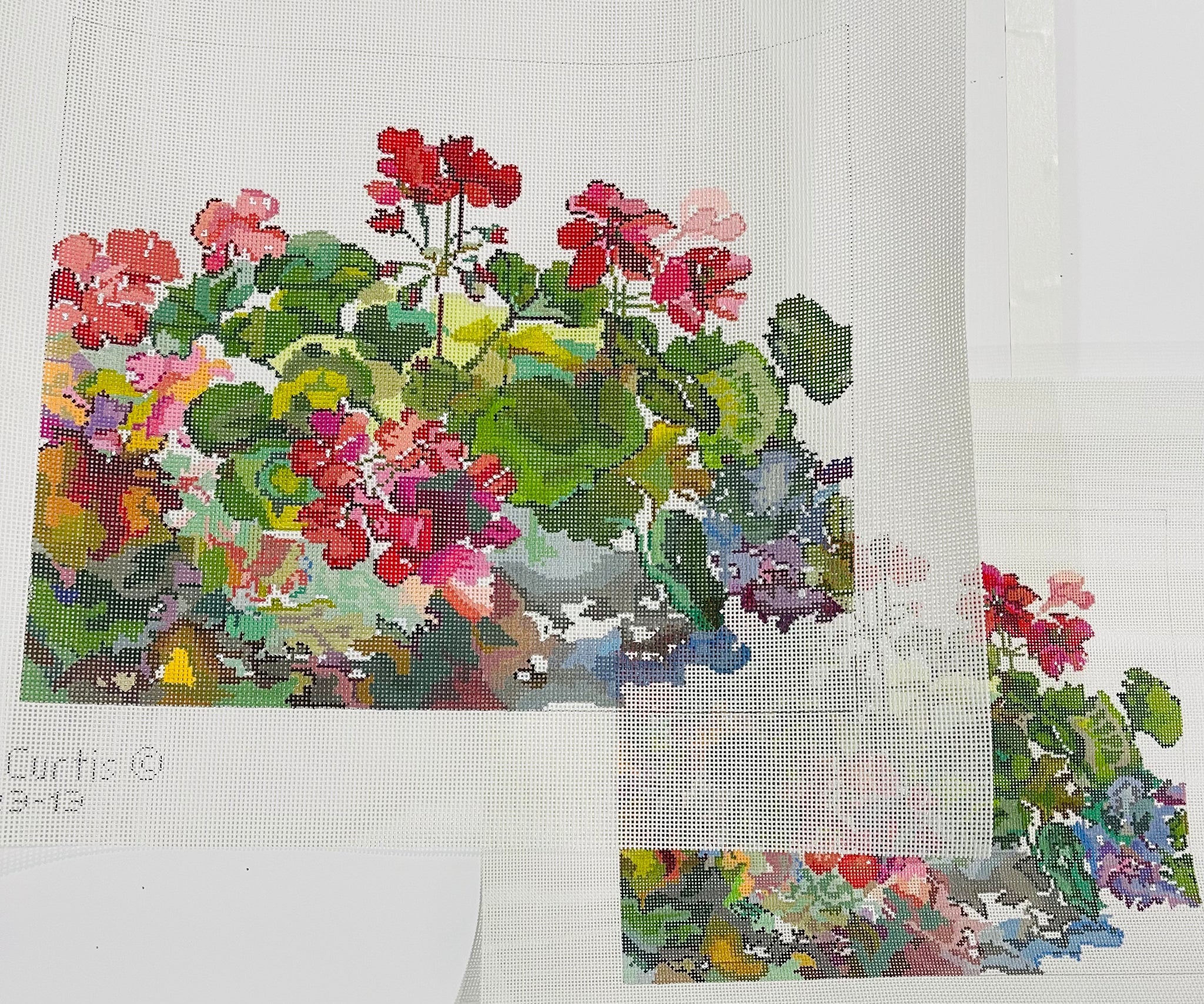 Geraniums
